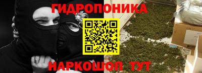 прущие крисы Лесосибирск
